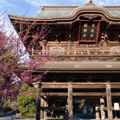 'Kenchoji temple', Kamakura, Kanagawa, Japan