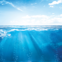 BLUE UNDER WATER