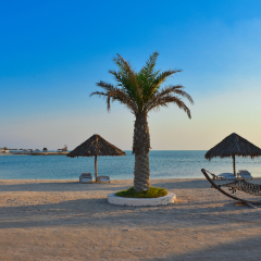 Crisp and clear blue sky pictured from the pristine Bahrain's Al Dar Islands.