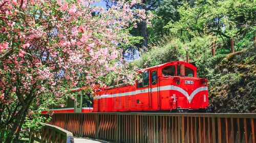 价全包无自费,重庆直飞台湾,免费赠送PICC,环