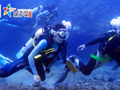 塞班岛劳劳湾体验潜水 劳劳湾+小丑鱼之家 有