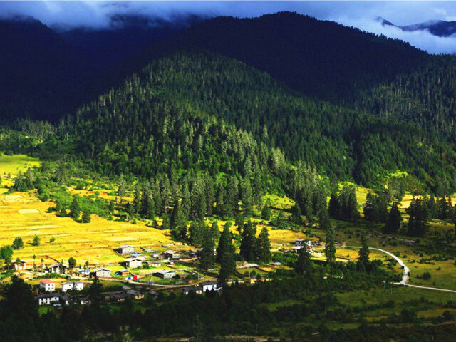  拉萨-林芝大峡谷-鲁朗林海-羊湖四飞10日游>奢华12人纯玩mini团,5晚