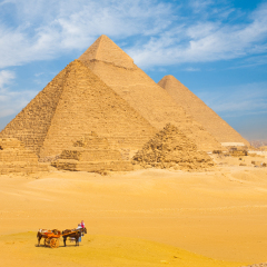 Tourists and transportation donkeys in desert in front of Great Giza pyramids lined up in a row against a beautiful blue sky in Cairo, Egypt. Horizontal copy space