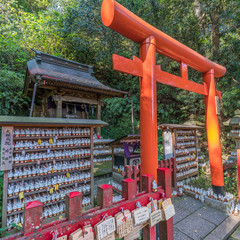 Kamakura, Japan - November 16, 2017 : Sasuke Inari jinja upper shrine. Small Inari statues, Torii gate and Ema writen wishes plaques. Located near the Zeniarai Benzaiten Ugafuku Shrine.