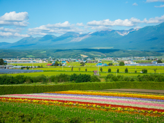 高原富良野
