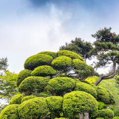 Onshihakone Park, beautiful gardens - Hakone, Japan.