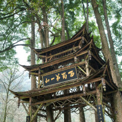 青城山