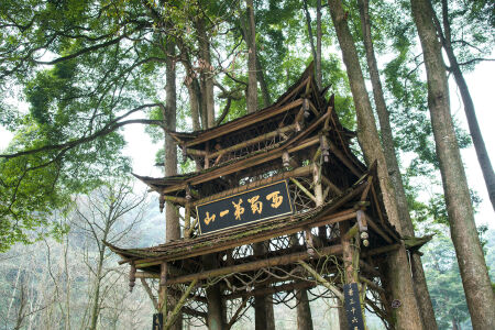 <成都双飞6日游>峨眉山、乐山、青城山、都江堰