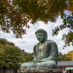 Japan travel in autumn season,Great Buddha of Kamakura (Kamakura Daibutsu),Bronze statue of Amida Buddha in Kotokuin Temple, Kamakura, Kanagawa, Japan