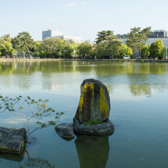 NARA, JAPAN - APRIL 25, 2015: The Sarusawaike Pond in Nara, Japan. 