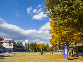 东北大学