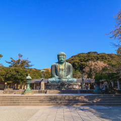 Kamakura, Japan - 9 December 2016 : The Great Buddha which is the main temple inÂ Kamakura ,a bronze statue of Amida Buddha, Kotokuin Temple, Japan