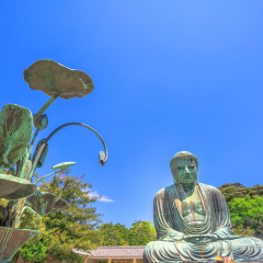 Kotoku-in Temple in Kamakura, Kanto region, Japan. The temple is famous for Great Buddha or Daibutsu, a monumental bronze statue of Amida Buddha. Popular landmark and icon of Japan.