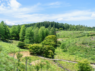 修善寺自然公园