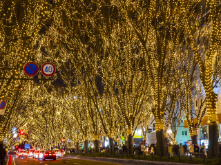 定禅寺大道