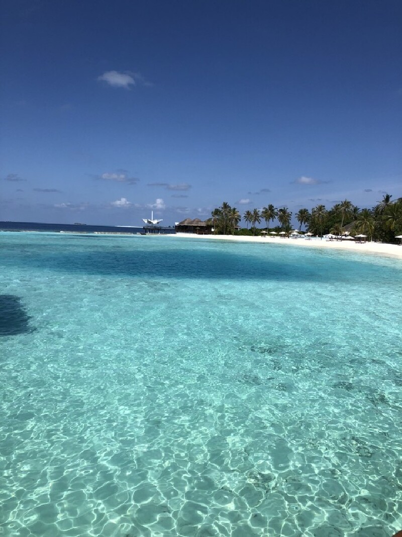 蒂芙尼蓝的maafushivaru!