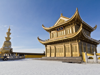金顶