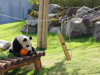 和歌山冒险世界