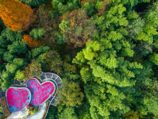 天目湖御水温泉