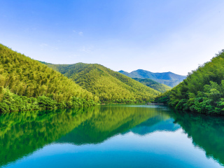 天目湖南山竹海