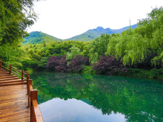 天目湖南山竹海