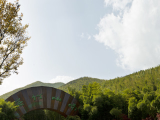 天目湖南山竹海