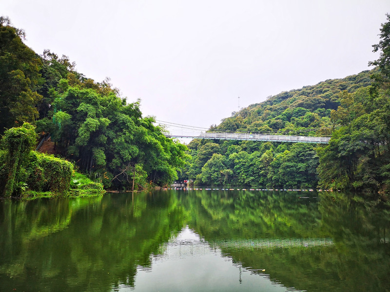 景區背靠河源第一高峰--桂山,面朝華南最大人工湖——萬綠湖.