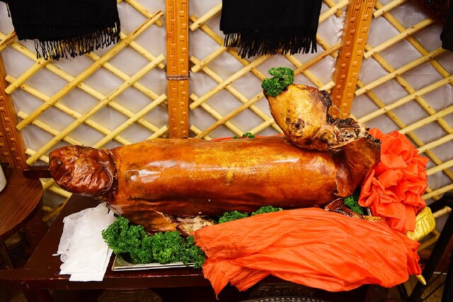 选择在冬天的内蒙古坐房车旅行的理由与感受 #鸿运必胜