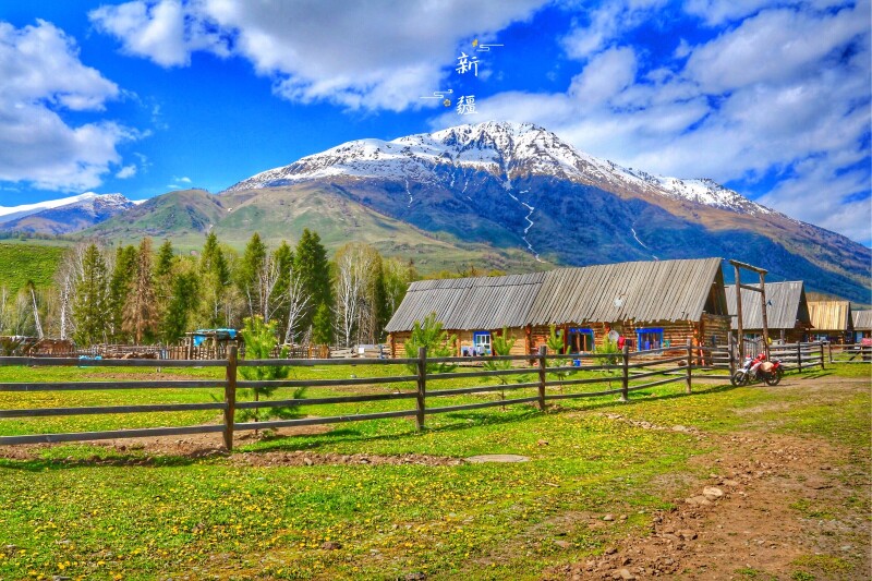 以梦为马❀不负韶华—— 『放空之旅✿环北疆』5/23-6/1_喀纳斯游