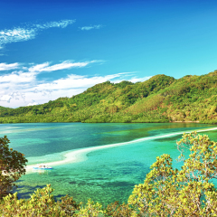 Beautiful view of a tropical island Snake. Philippines