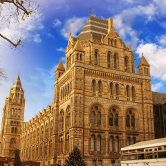 London - Natural History Museum - England