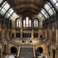 LONDON - April 19: The great Central Hall of The Natural History Museum decorated with paintings and fretwork of plants and animals lighted by the rays of the sun in London,  April  19, 2013.