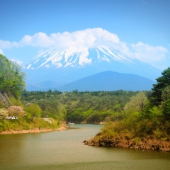 Japan landscape with Mount Fuji and Lake Shoji. Filtered tone.