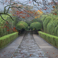 Rainy day at the Japanese garden of the former Imperial Vacation Palace