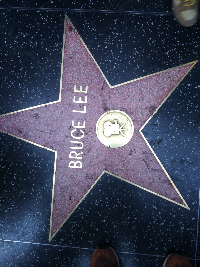 星光大道上的星形奖章