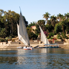 Sightseeing boat and feluccas anchor at the bank of the Nile River. In the background there is the Aswan Botanical Garden.