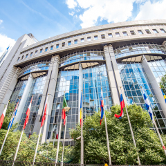 View on the European parliament building with flags of members in Brussels