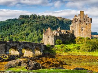 爱尔兰朵娜城堡