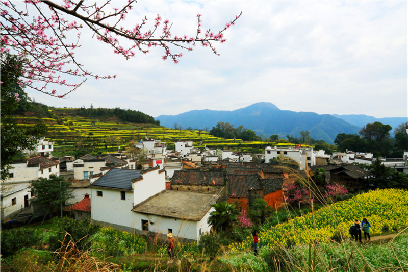 乡村人口 农业人口_乡村人口向城市迁移