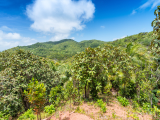 五月谷国家公园