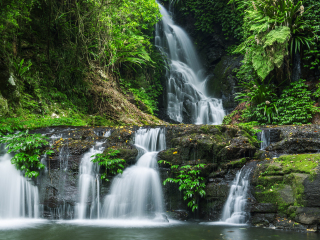 雷明顿国家公园