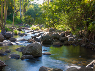 雷明顿国家公园