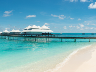 钻石泰达富士岛