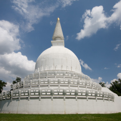 peace stupa in a forest