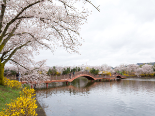 庆州普门旅游区