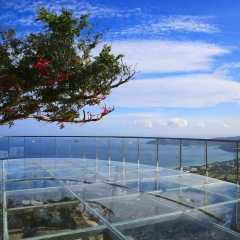 亚龙湾热带天堂森林公园