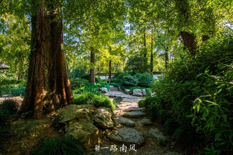 杭州植物園不僅植物品類繁多,園林的佈局也