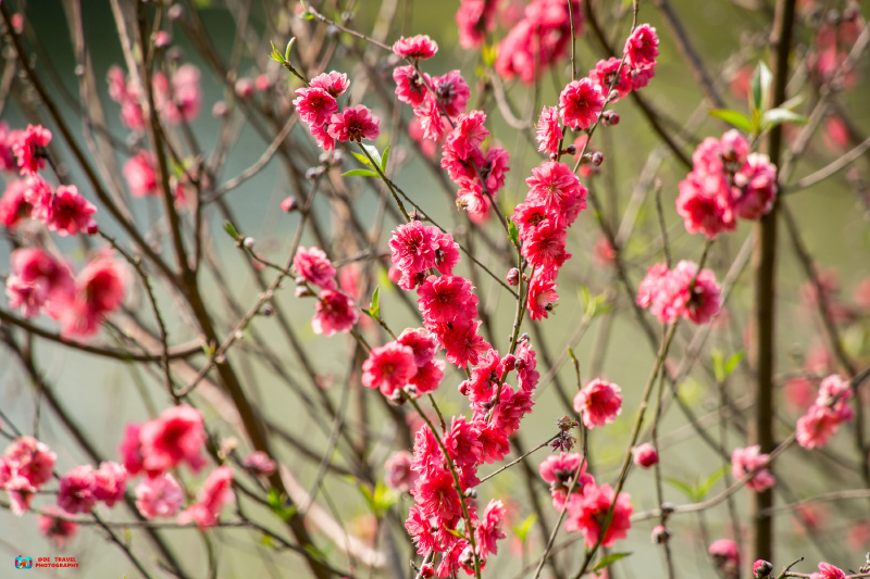 Cii-slxPAFaIQHbyACN55yDN-nMAATnygApXRMAI3n_688_w800_h0_c0_t0.jpg