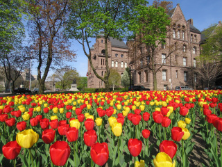 多伦多皇后公园