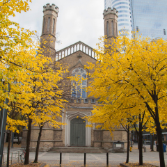 TORONTO,CANADA-NOVEMBER 201,2016: Park and the Church of the Holy Trinity in Toronto city centre.